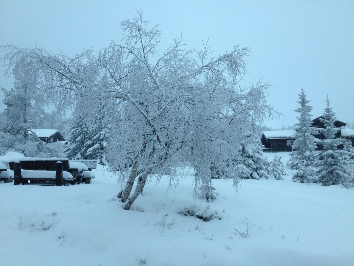 Solstua Semesterpark Lifjell
