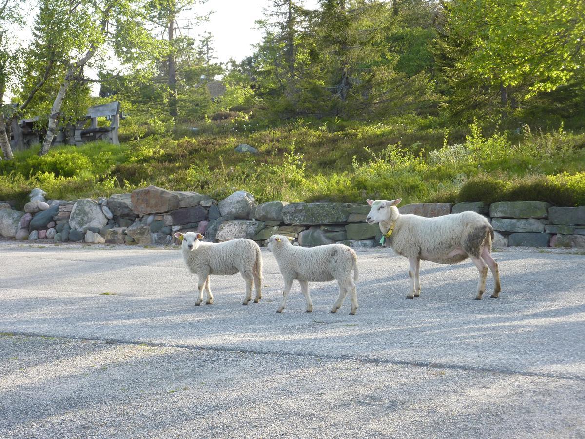 Village de vacances Solstua Lifjell